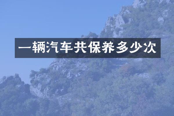 一辆汽车共保养多少次