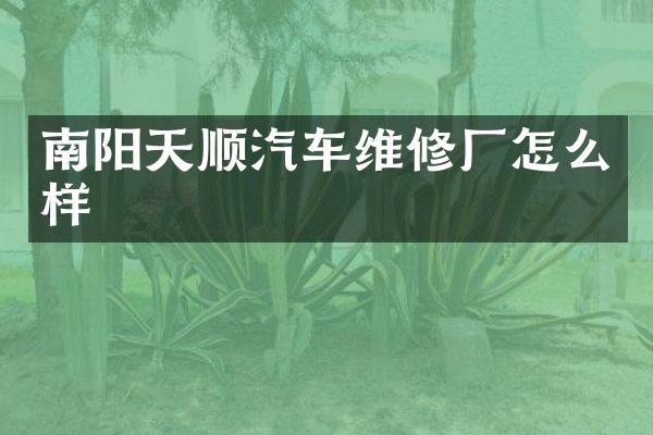 南阳天顺汽车维修厂怎么样