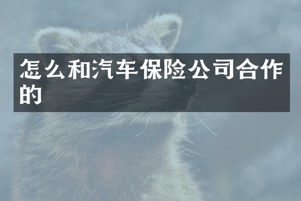 怎么和汽车保险公司合作的