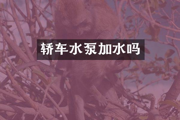 轿车水泵加水吗