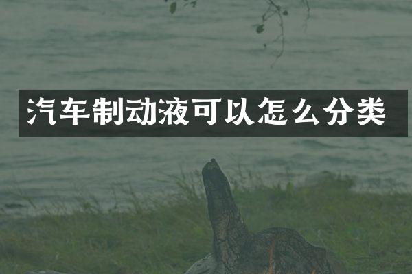 汽车制动液可以怎么分类
