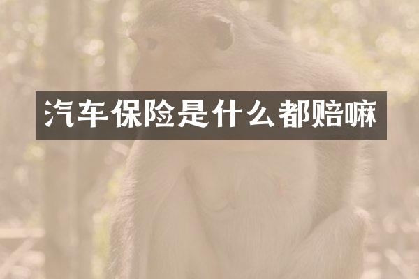 汽车保险是什么都赔嘛