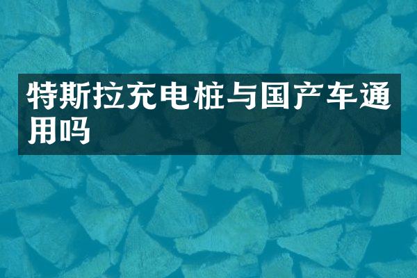 特斯拉充电桩与国产车通用吗