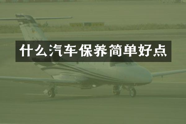 什么汽车保养简单好点