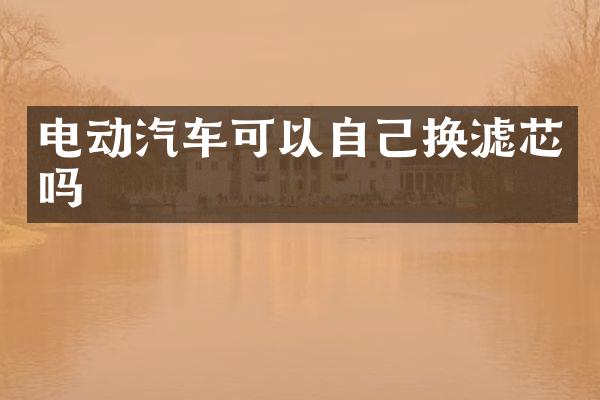 电动汽车可以自己换滤芯吗