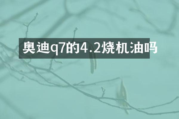 奥迪q7的4.2烧机油吗
