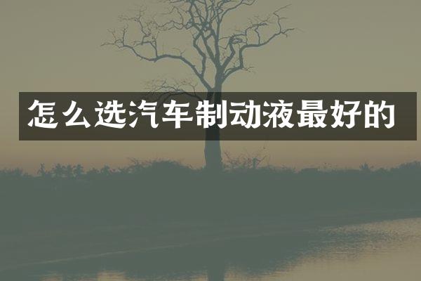 怎么选汽车制动液最好的