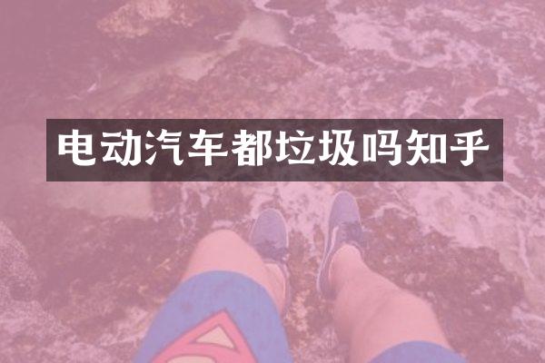 电动汽车都垃圾吗知乎