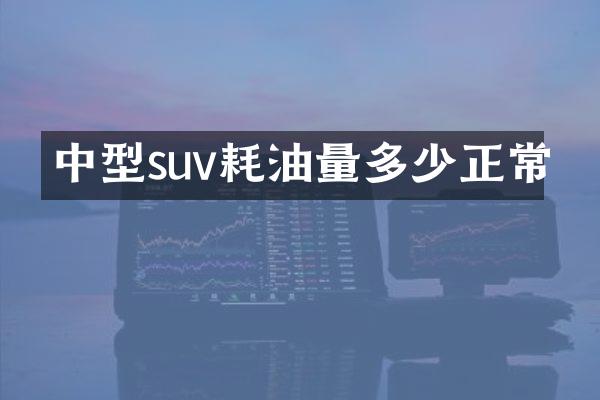 中型suv耗油量多少正常