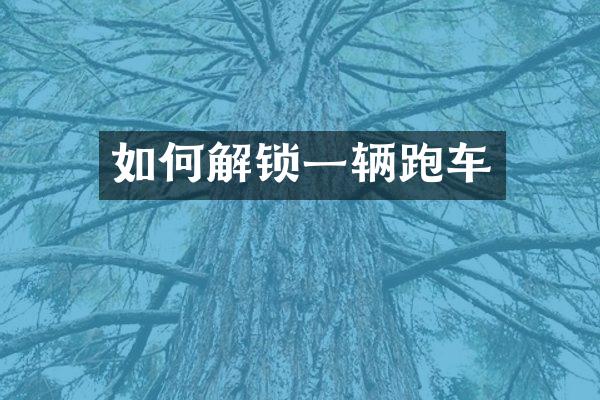 如何解锁一辆跑车