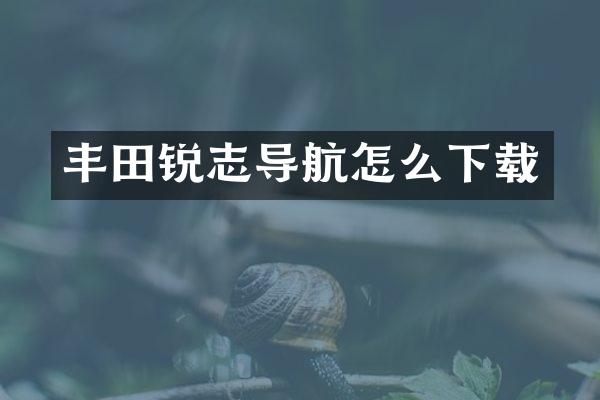 丰田锐志导航怎么下载