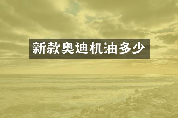 新款奥迪机油多少