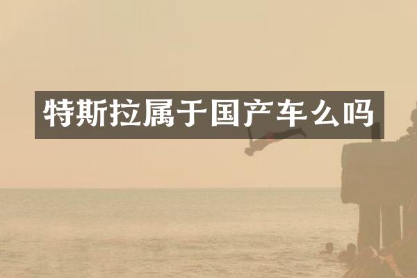 特斯拉属于国产车么吗