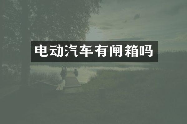 电动汽车有闸箱吗