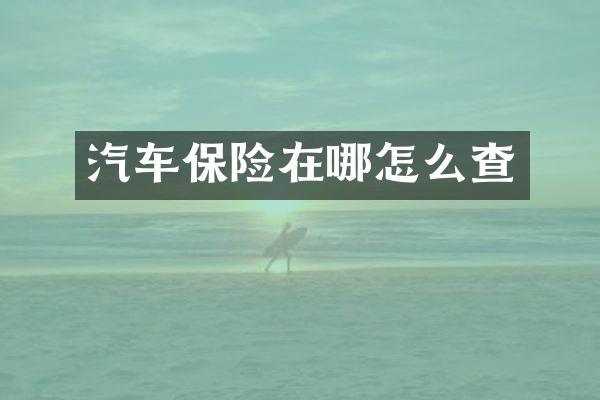 汽车保险在哪怎么查