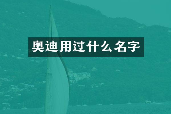 奥迪用过什么名字