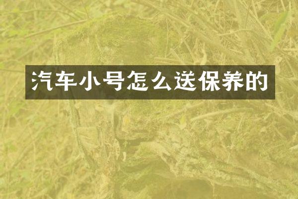 汽车小号怎么送保养的