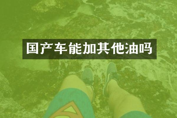 国产车能加其他油吗