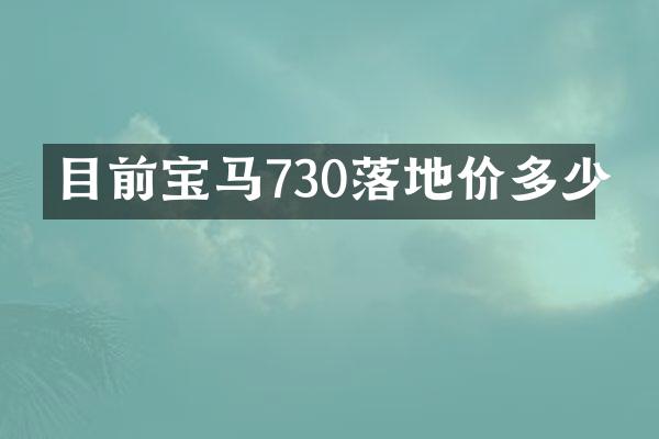 目前宝马730落地价多少
