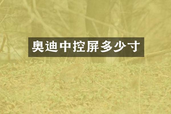 奥迪中控屏多少寸