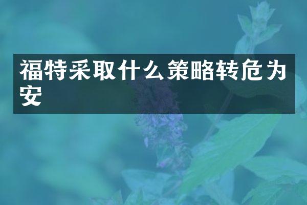 福特采取什么策略转危为安