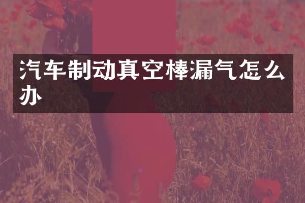 汽车制动真空棒漏气怎么办