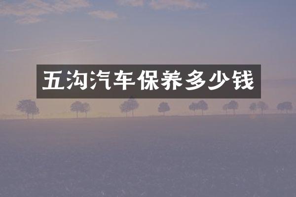 五沟汽车保养多少钱