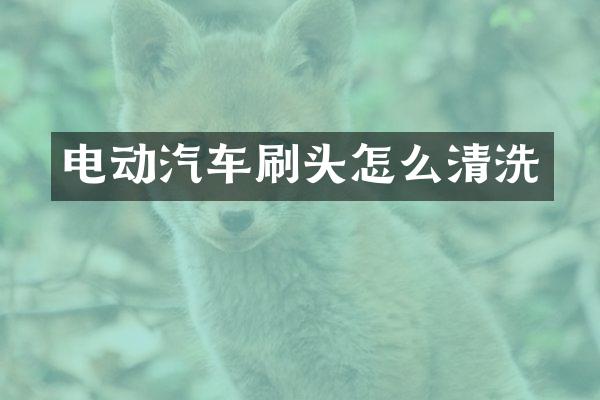 电动汽车刷头怎么清洗
