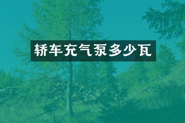 轿车充气泵多少瓦