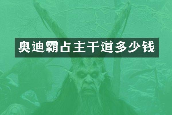 奥迪霸占主干道多少钱