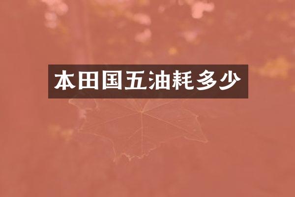 本田国五油耗多少