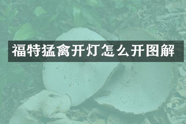 福特猛禽开灯怎么开图解