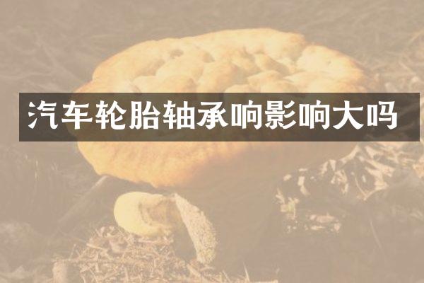 汽车轮胎轴承响影响大吗