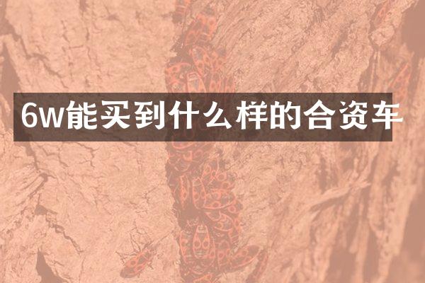 6w能买到什么样的合资车