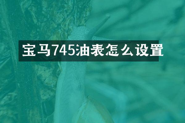 宝马745油表怎么设置