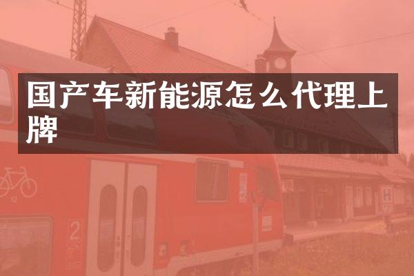 国产车新能源怎么代理上牌