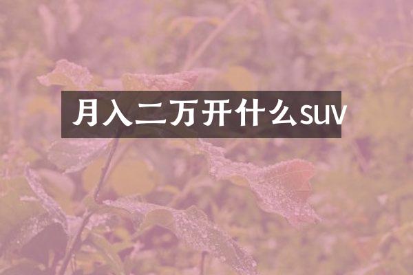 月入二万开什么suv