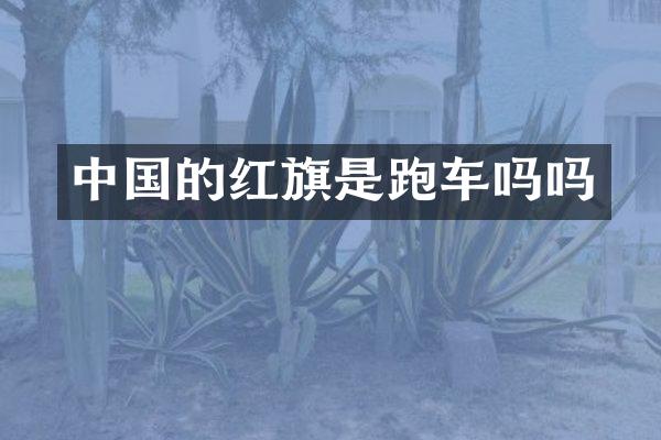 中国的红旗是跑车吗吗