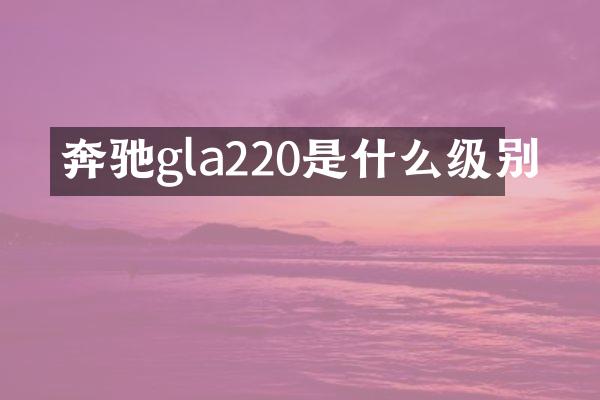 奔驰gla220是什么级别