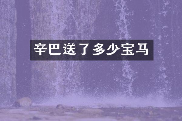 辛巴送了多少宝马