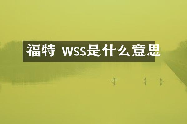 福特 wss是什么意思