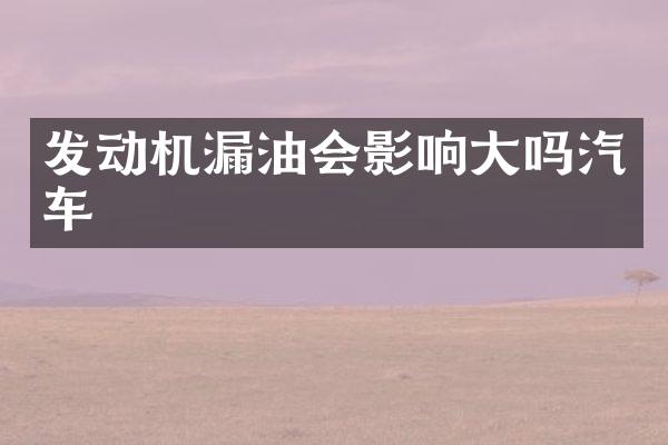 发动机漏油会影响大吗汽车