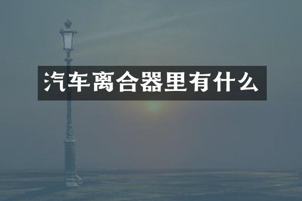 汽车离合器里有什么
