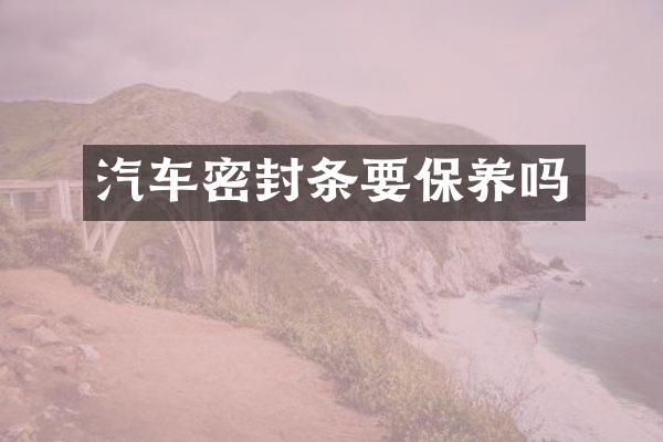 汽车密封条要保养吗