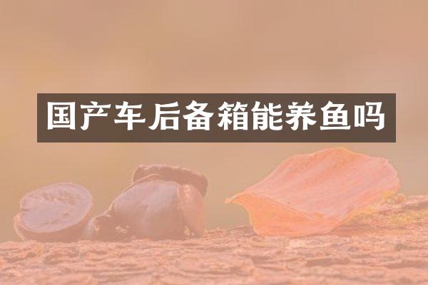 国产车后备箱能养鱼吗