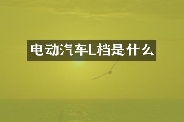 电动汽车L档是什么