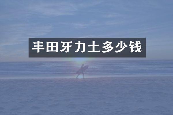 丰田牙力土多少钱