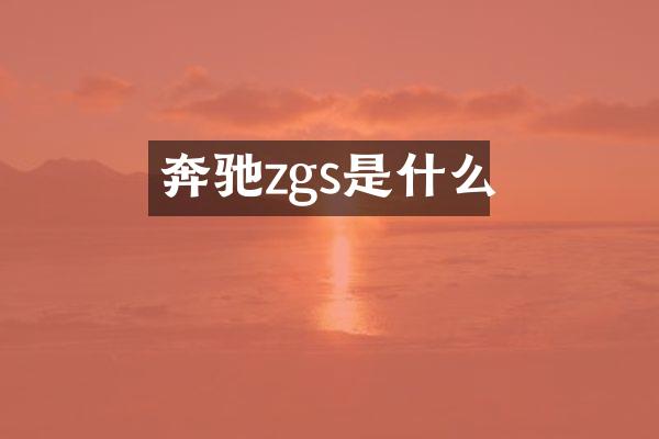 奔驰zgs是什么