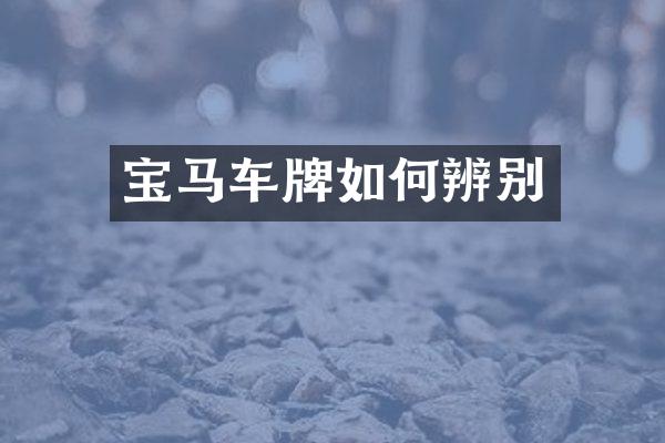宝马车牌如何辨别