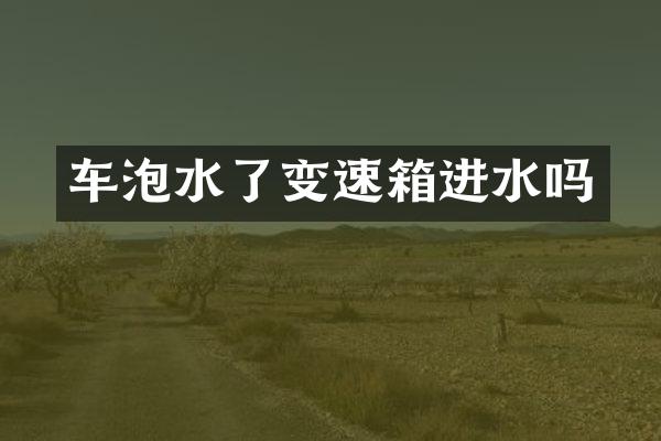 车泡水了变速箱进水吗